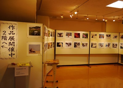 P10901043.jpg