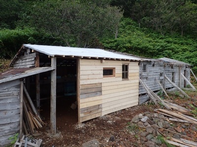P7310116.jpg